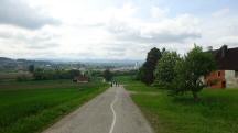 Blick auf die Wanderstrecke durch die Riede "Hub an der Mank" 